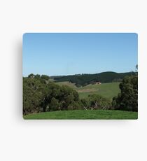 Yogi Bear Country Canvas Print