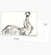 Bemused Emu Postcards