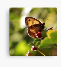 Gatekeeper Canvas Print