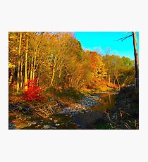 Autumn ballet Photographic Print