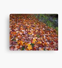 One leaf or two Canvas Print