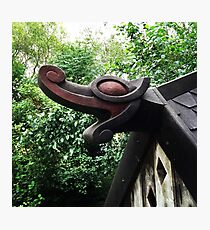 Dragons Head Photographic Print