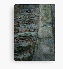 Stairs and Moss Combine to Make One Metal Print