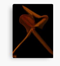 slick guy Canvas Print