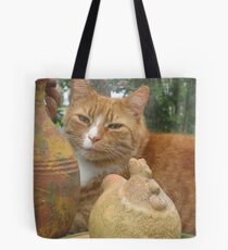 Spring Time Cat Tote Bag