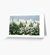 Tulips Greeting Card