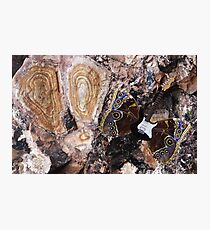 Rock Of Ages Photographic Print