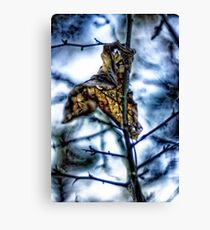 Hang on in there Canvas Print
