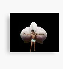 On Orchid Wings Canvas Print