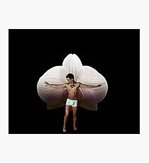 On Orchid Wings Photographic Print