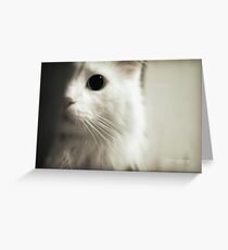 U Play With Mikey Now? Greeting Card