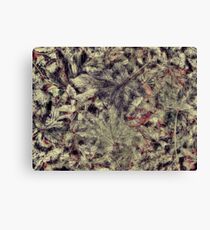 The texture of leaves Canvas Print
