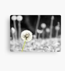 Make your voice heard Canvas Print