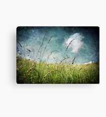 Nature Canvas Print