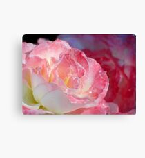 A rain-washed morning Canvas Print