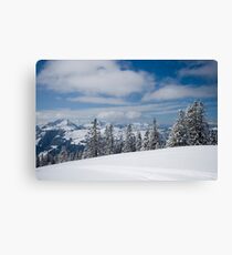 Austrian snow Canvas Print