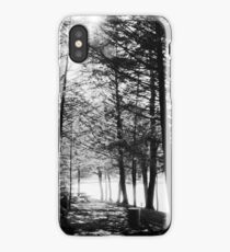 Sunlight through Grainy Trees iPhone Case