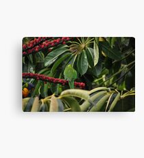 Birds Canvas Print