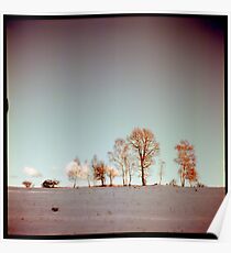 Winter horizont Poster