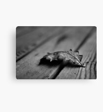 Leaf Canvas Print