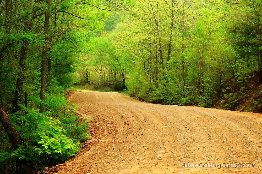 Spring Country Road Images