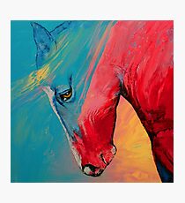 Painted Horse Photographic Print