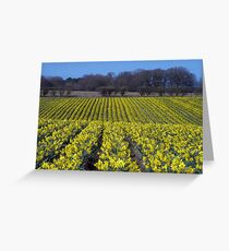 Field of Gold Greeting Card