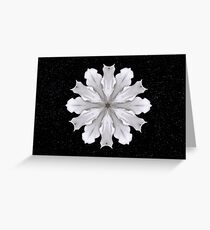Creation Greeting Card
