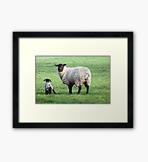 New born Framed Print