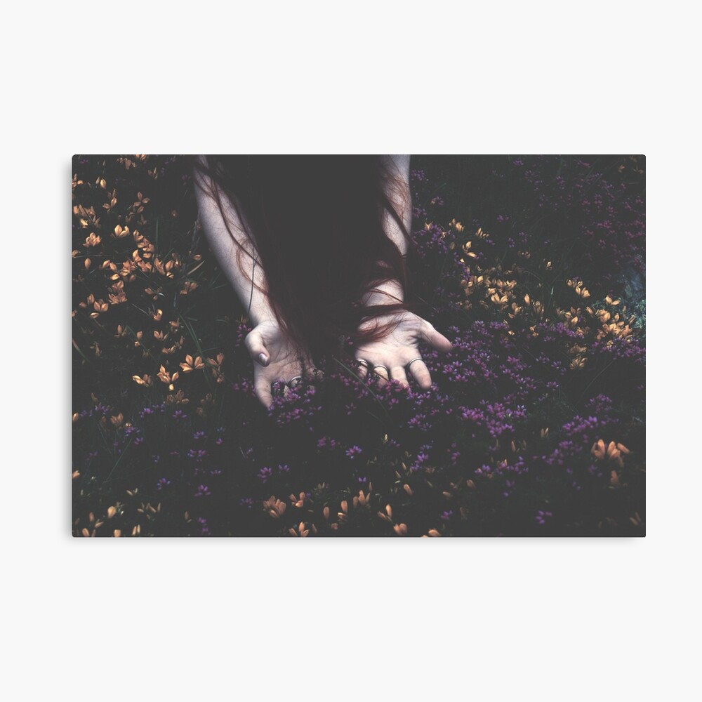 SULDR & LAMINA Canvas Print