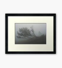 SULDR & LAMINA Framed Print