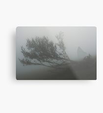 SULDR & LAMINA Metal Print
