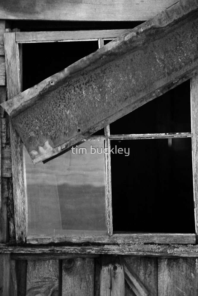 "detail, gala estate. cranbrook, tasmania" by tim buckley bodhiimages