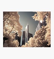 Bank of China Photographic Print