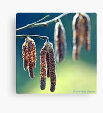 Hanging in the sunshine Canvas Print