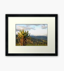 and down to the ezulwini valley Framed Print
