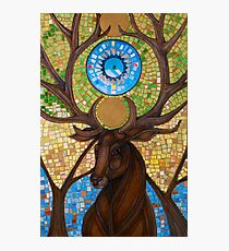 Coronation of the Forest King Photographic Print
