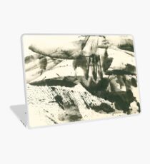 autumn landscape with snow Laptop Skin
