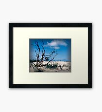 Desolate Framed Print