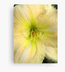 Pale Yellow Metal Print