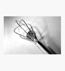 Whisk Photographic Print