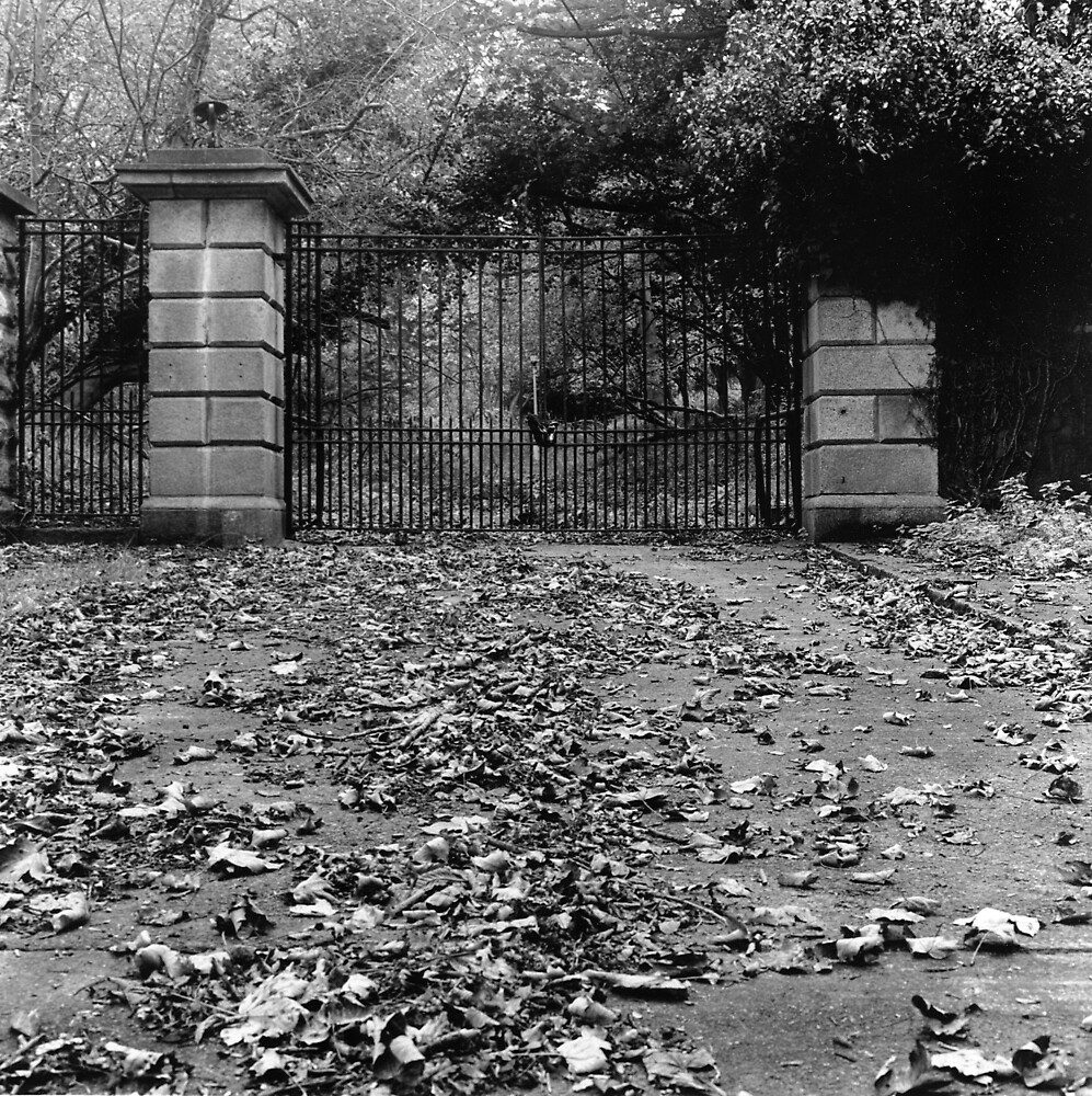 « Portes abandonnées, Phoenix Park » par Dave  Kennedy