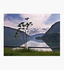 Evening at Lower Arrow Lake Photographic Print