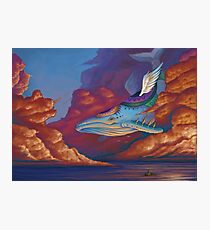 Zelda- Wind Fish Photographic Print
