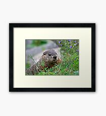 I Celebrate Earth Day, every day Framed Print