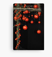 Tomato Canvas Print