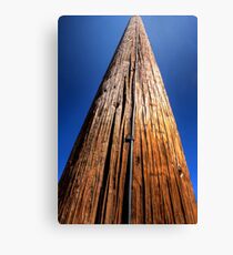 Pole Canvas Print
