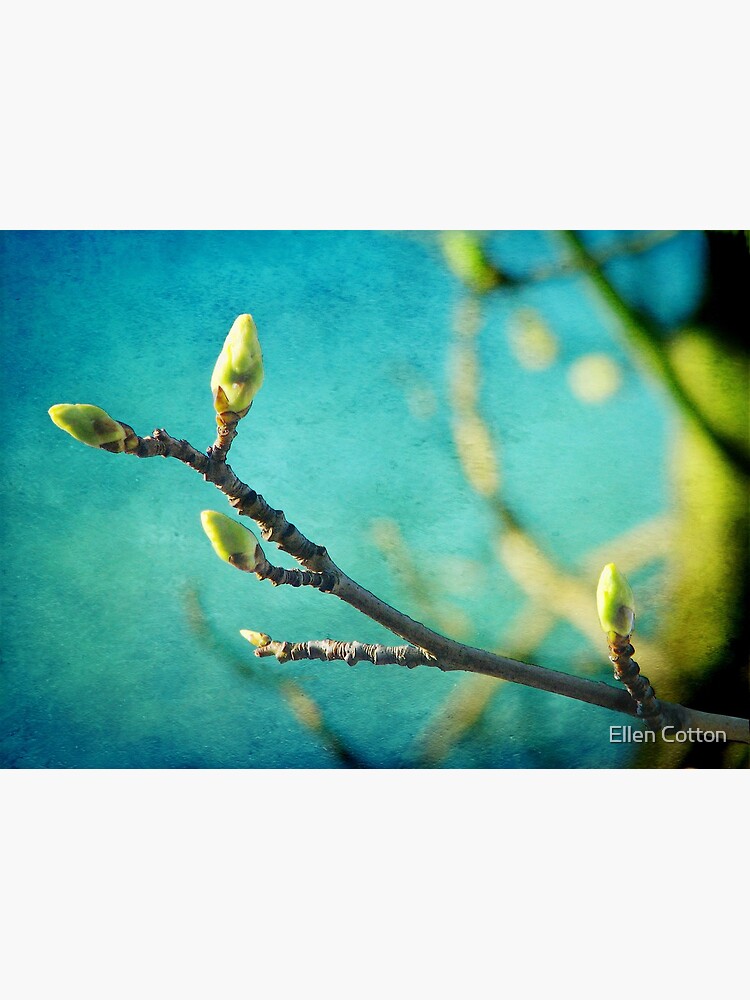 Spring is in the Air by ellcot
