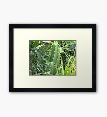 Webs, Webs Everywhere Framed Print