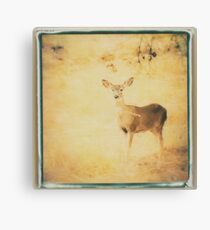 raw Canvas Print